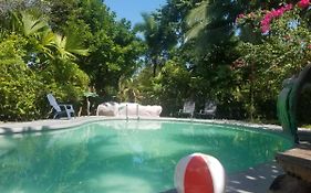 Hotel El Colibri Rojo - Cabinas - Le Colibri Rouge